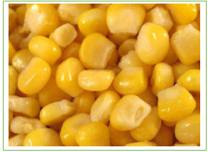 Corn Series (Jagung)